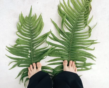 Someone wearing black trousers standing with their bare feet on two palm leaves.